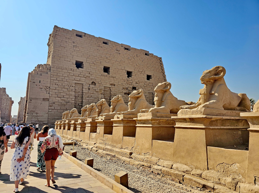 Avenue of Sphinxes-卢克索必去景点