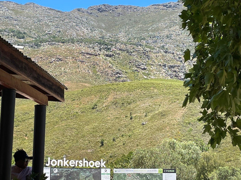 Ride In Bike Hire-斯泰伦博斯必去景点