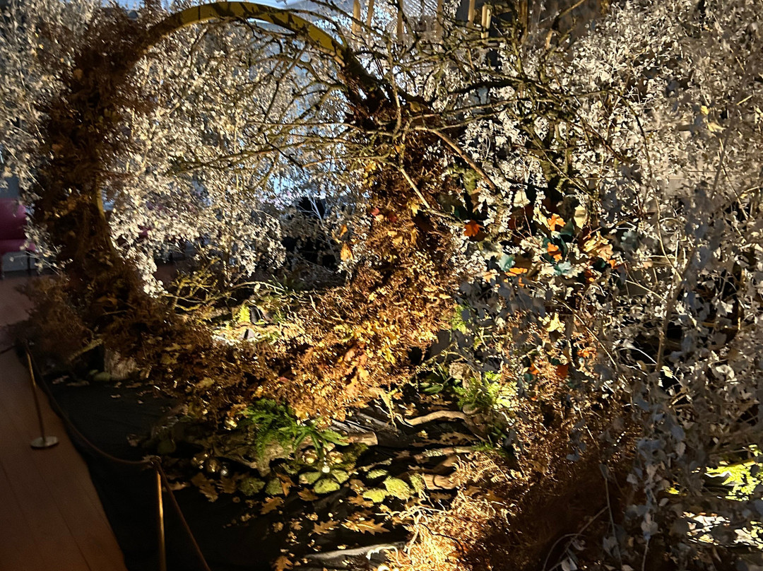 Doddington Hall & Gardens-Doddington必去景点