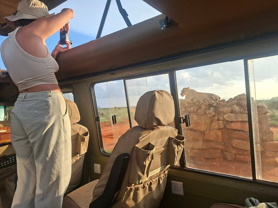 Malik Safari-马林地必去景点