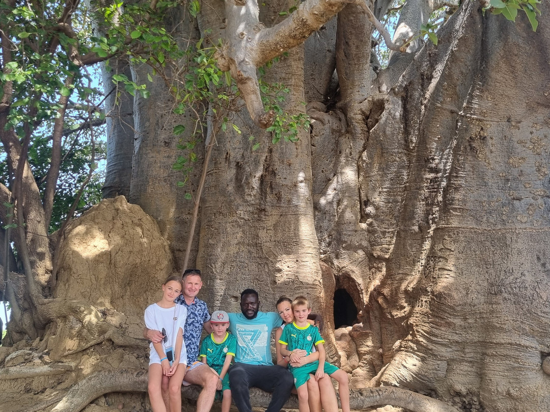 Malick Travel Senegal-Ponto必去景点