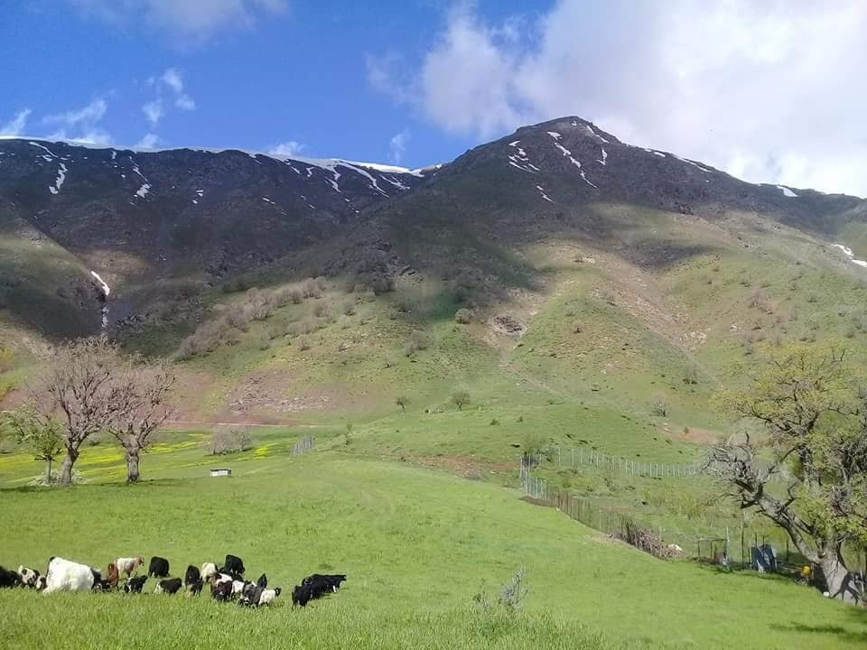 Shora-Choman必去景点