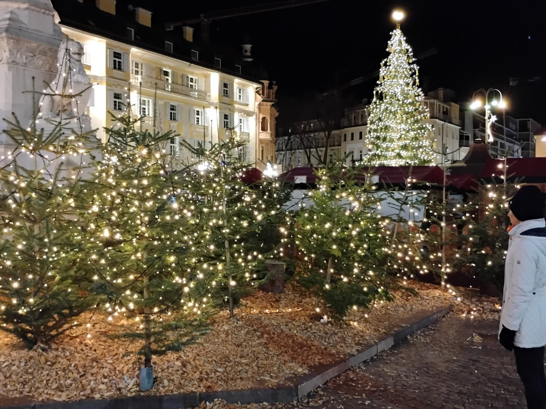 Bolzano Christmas Market-博尔扎诺必去景点