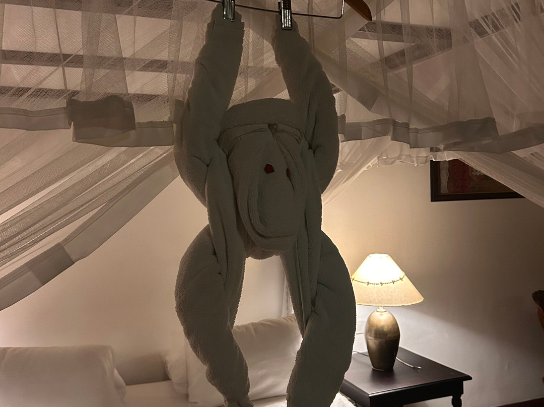 Kings Pavilion主图