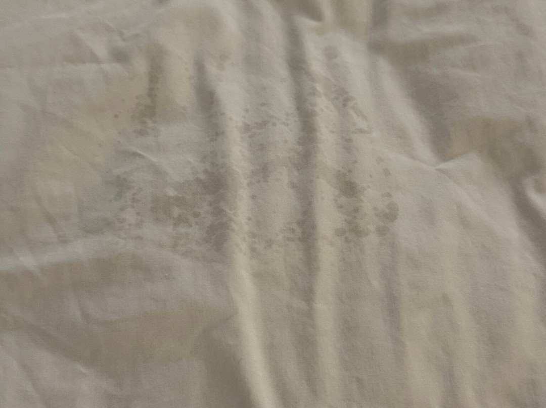 Hilton Garden Inn Columbia/harbison主图