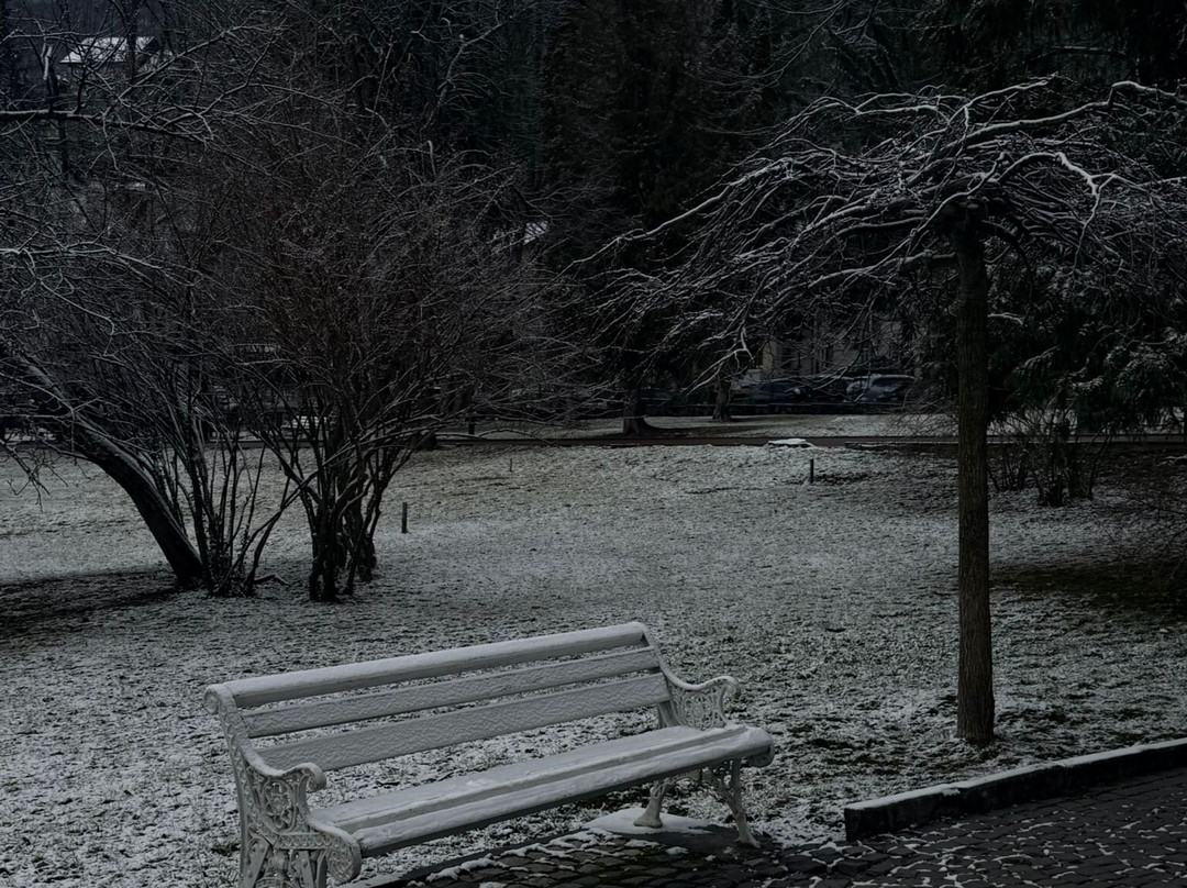 Centru Sinaia-锡纳亚必去景点