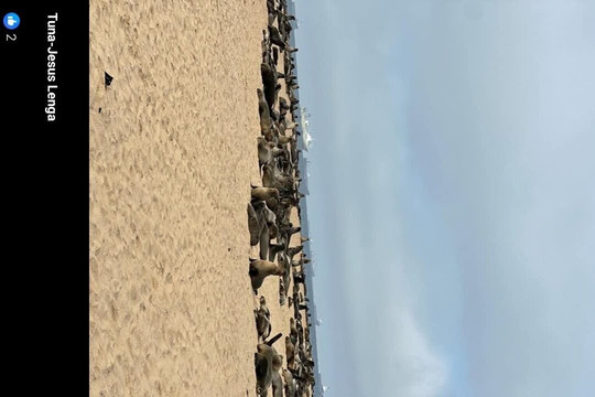 All Over Tours and Travel Namibia