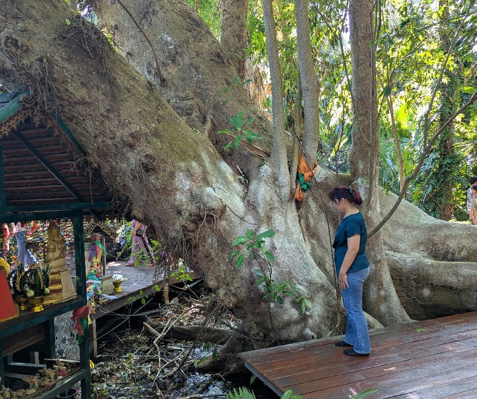 Kham Chanod Forest-万吞必去景点