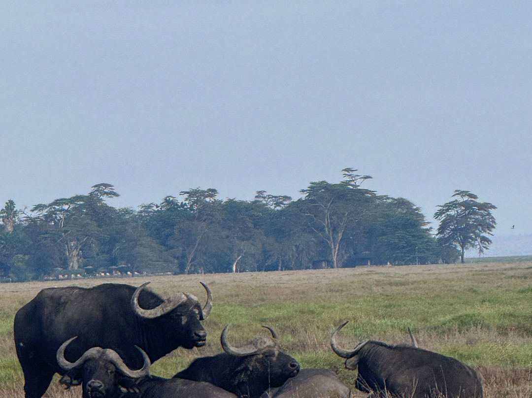 Kalume Safari-瓦塔木必去景点