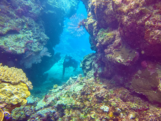 Quicksilver Dive-道格拉斯港必去景点