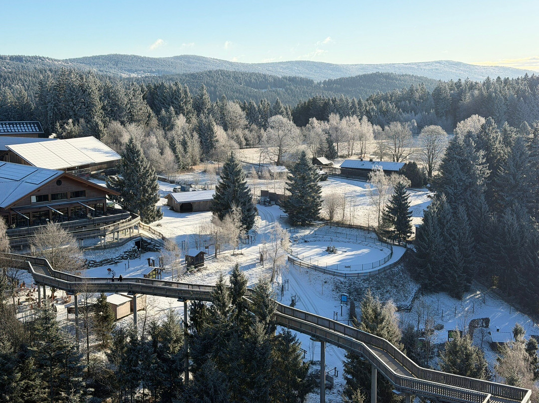 Waldwipfelweg-圣恩尔马尔必去景点