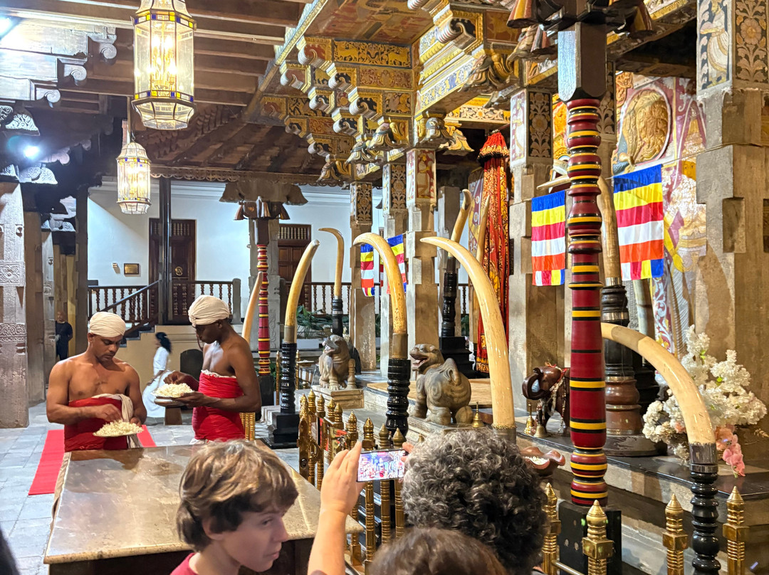 MySL Travel-科伦坡必去景点