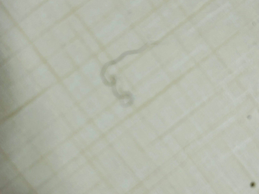 Home2 Suites by Hilton Whitestown Indianapolis NW主图