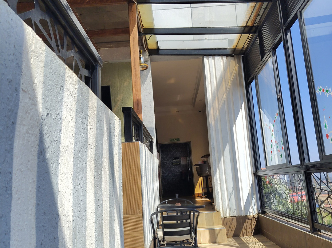 Nokras Silver Oak主图