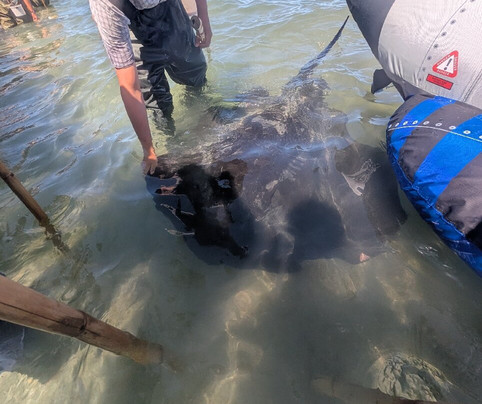 Dive Tatapouri-Gisborne Region必去景点