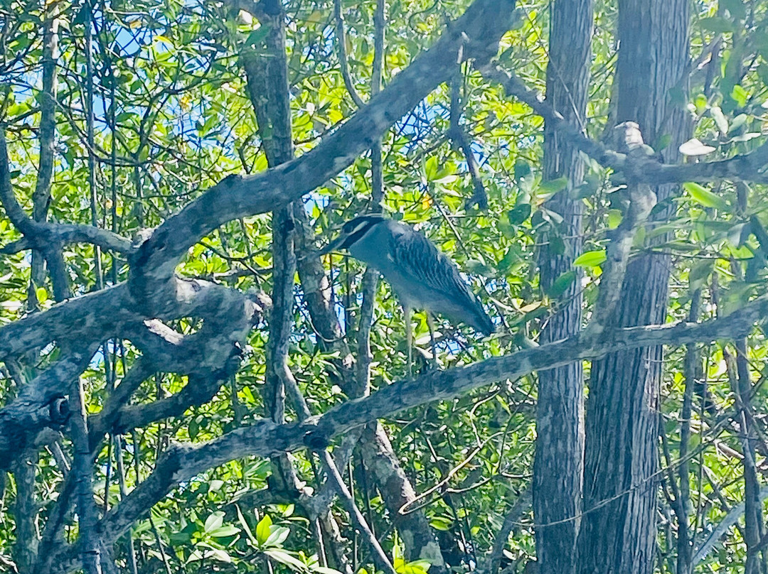 Tour Guanacaste-波特雷罗必去景点