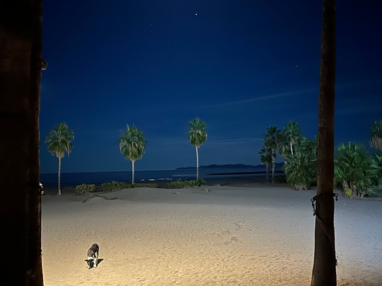 Hotel Oasis Loreto主图