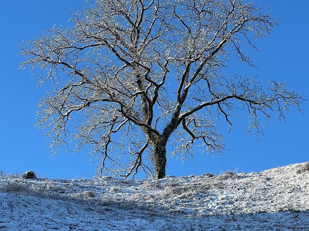 Domaine des Fées主图