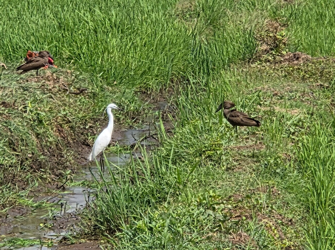 Rau Eco & Cultural Tourism Enterprise-莫西必去景点