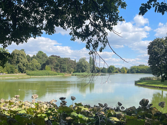Park van Tervuren-Tervuren必去景点