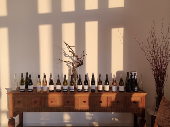 Vicentino Wines-Odemira必去景点