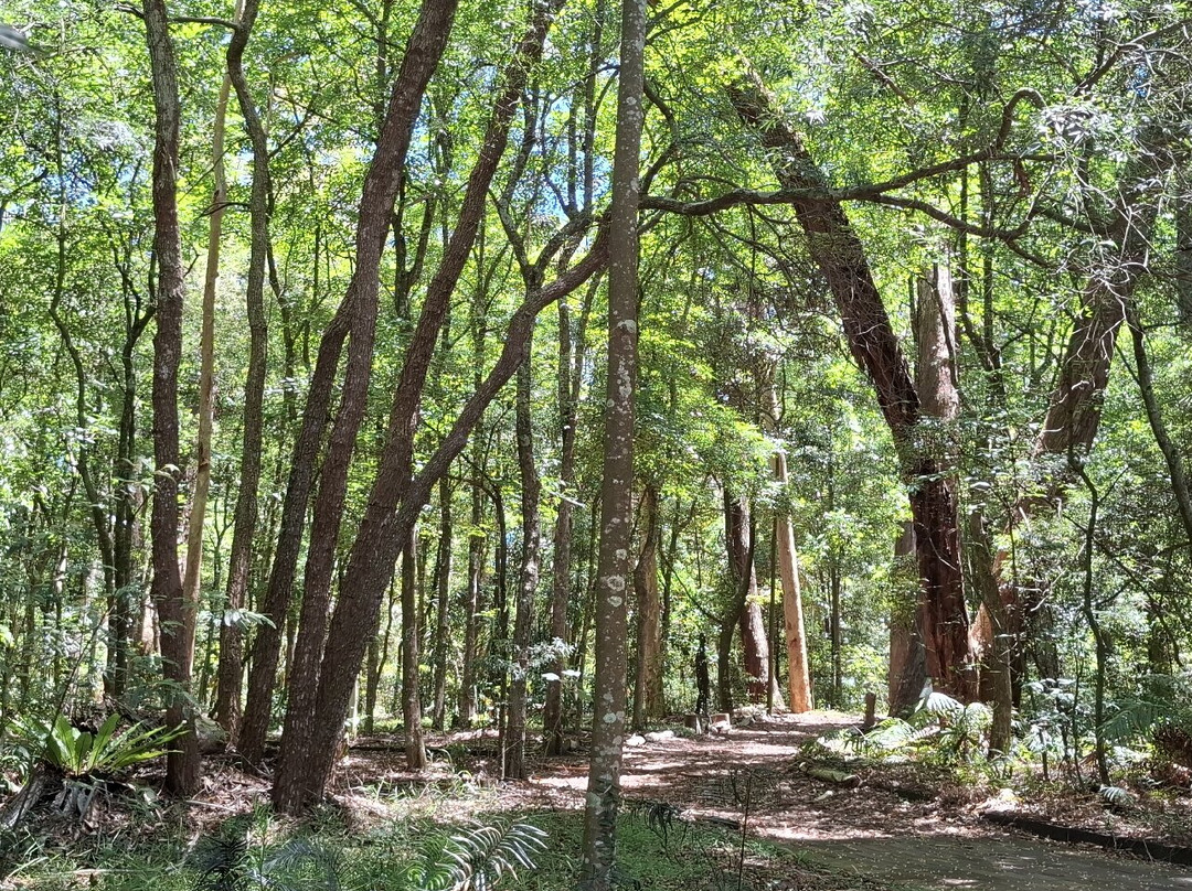 Hunter Region Botanic Gardens-史蒂芬斯港必去景点