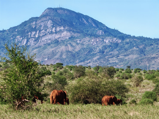 nomade SAFARI-蒙巴萨必去景点