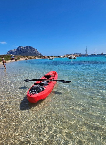 Kayak Delivery Sardegna-奥尔比亚必去景点