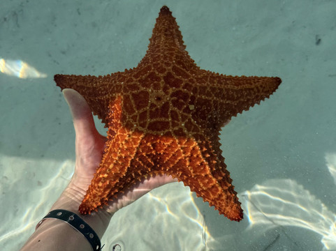 Cuba Libre Pro Excursiones Varadero-巴拉德罗必去景点