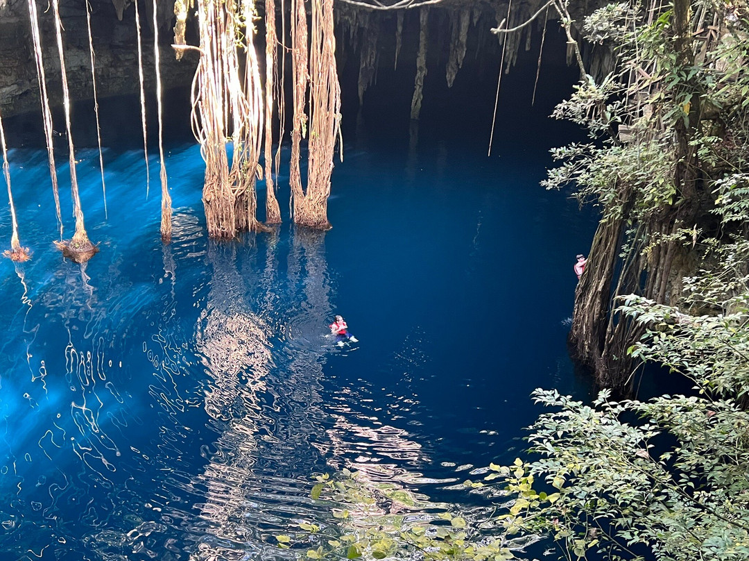 Experiencia Privada en Cenote Exclusivo-巴利亚多利德必去景点