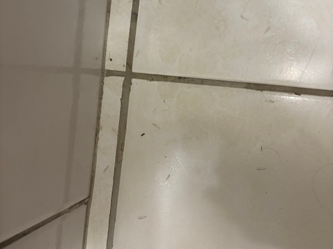 Hotel Fazenda Pommernland主图