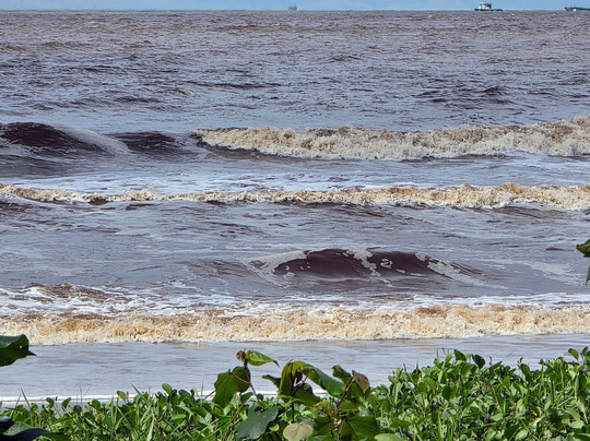 Miri Central Park-美里必去景点