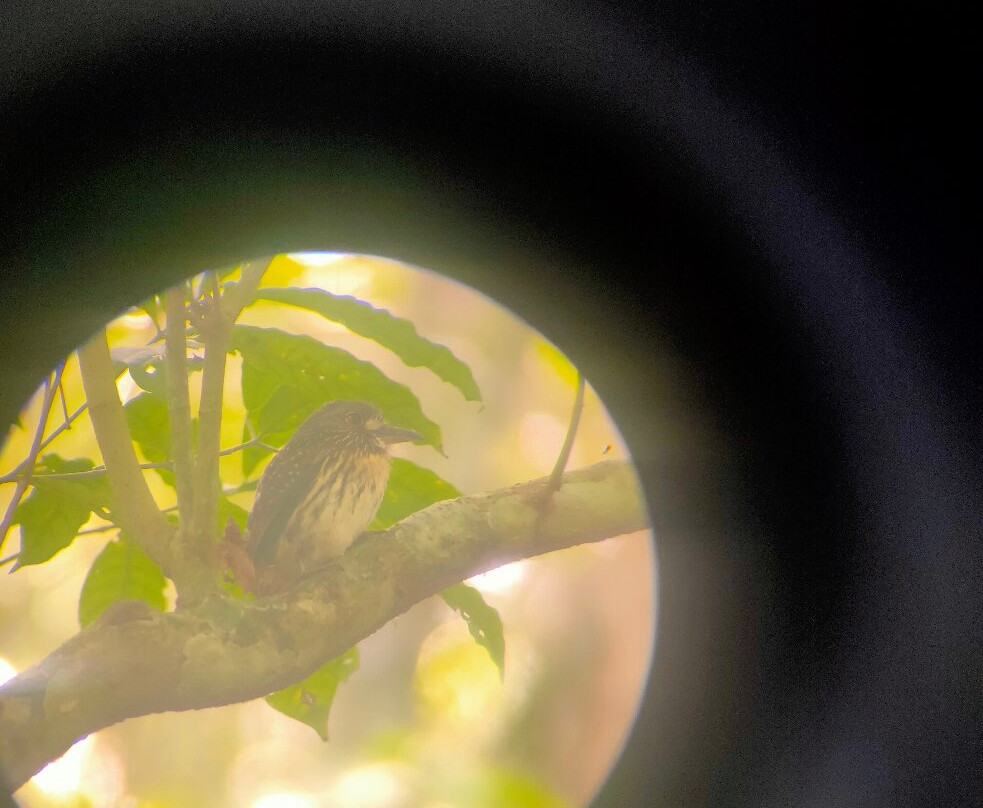 Manuel Tour Guide-卡维塔必去景点