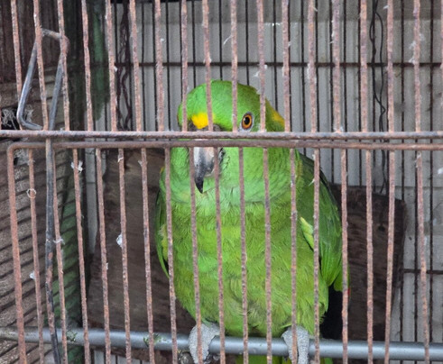 No Limits Bar-内格里尔必去景点