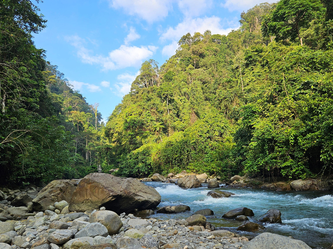 Explore Sumatra Orangutan-武吉拉旺必去景点