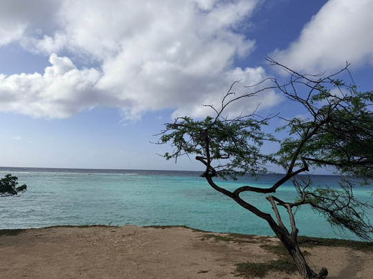 Anaté Beach Apartments主图