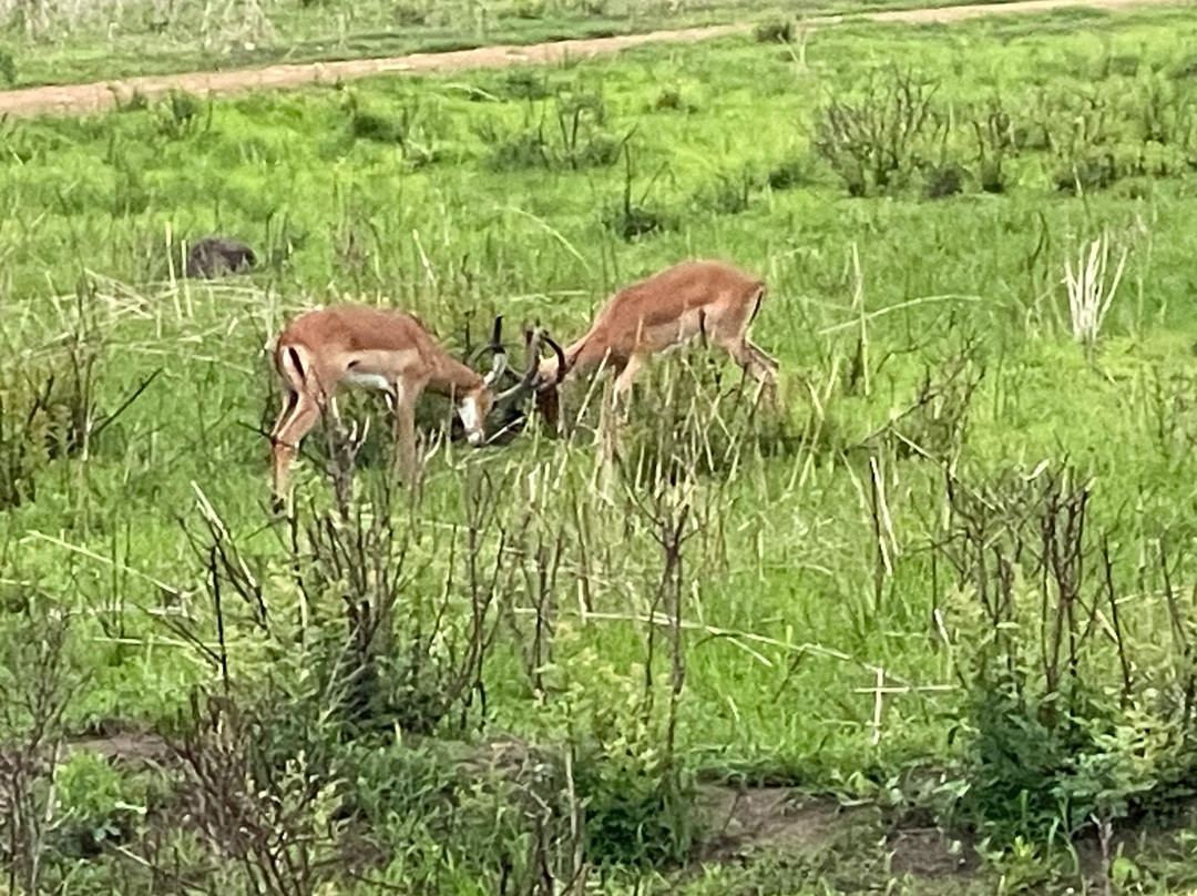 Passionate Safaris-Dar es Salaam必去景点
