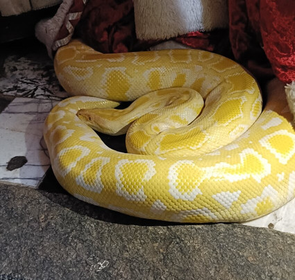 Mystical Castle-Balashikha必去景点
