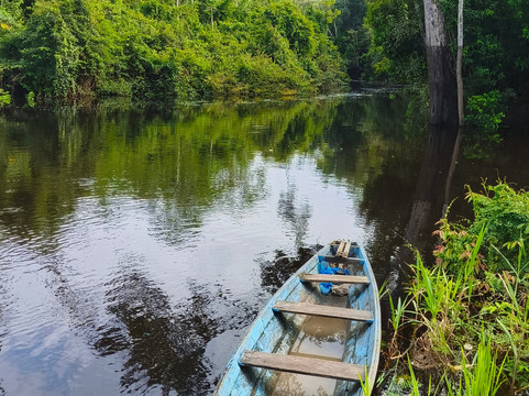Avatar Amazon Lodge & Canopy Park主图