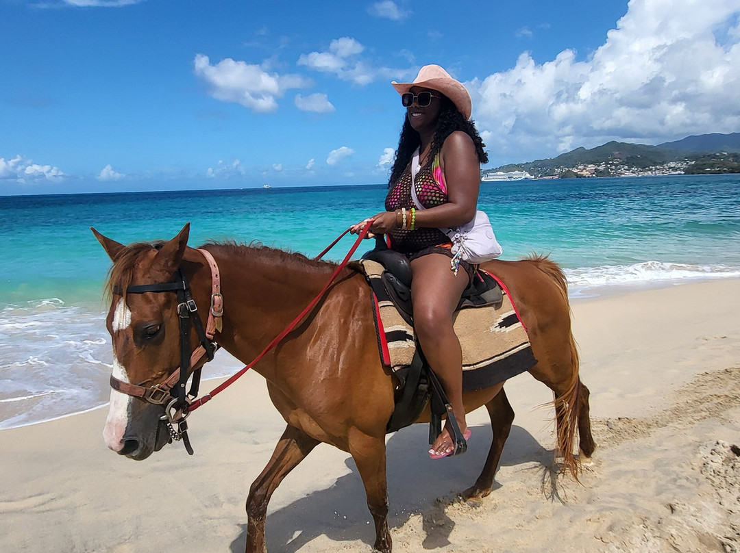 Bonanza Stables-St. George's必去景点