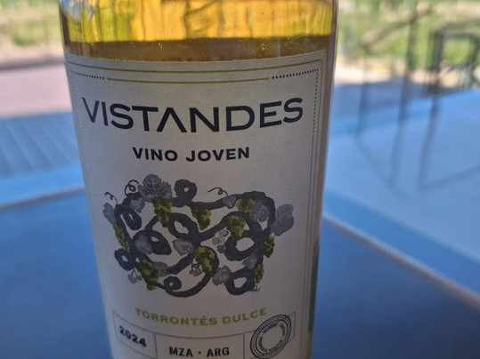 Vistandes Winery-Maipu必去景点