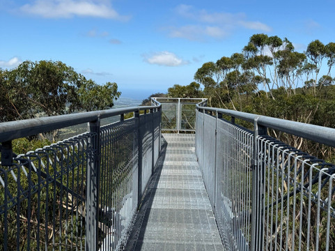 Illawarra Fly Treetop Walk-Knights Hill必去景点