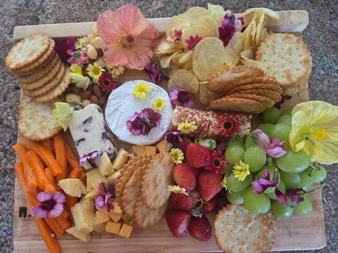 Stilbaai Brugmark-斯特尔拜必去景点