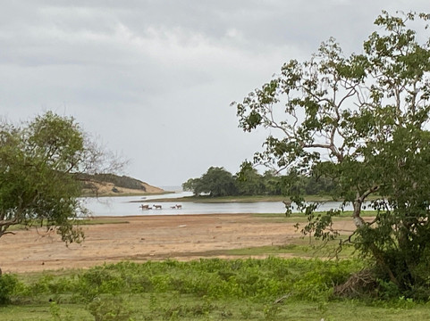 Fairceylon Holiday (pvt)ltd.-科伦坡必去景点