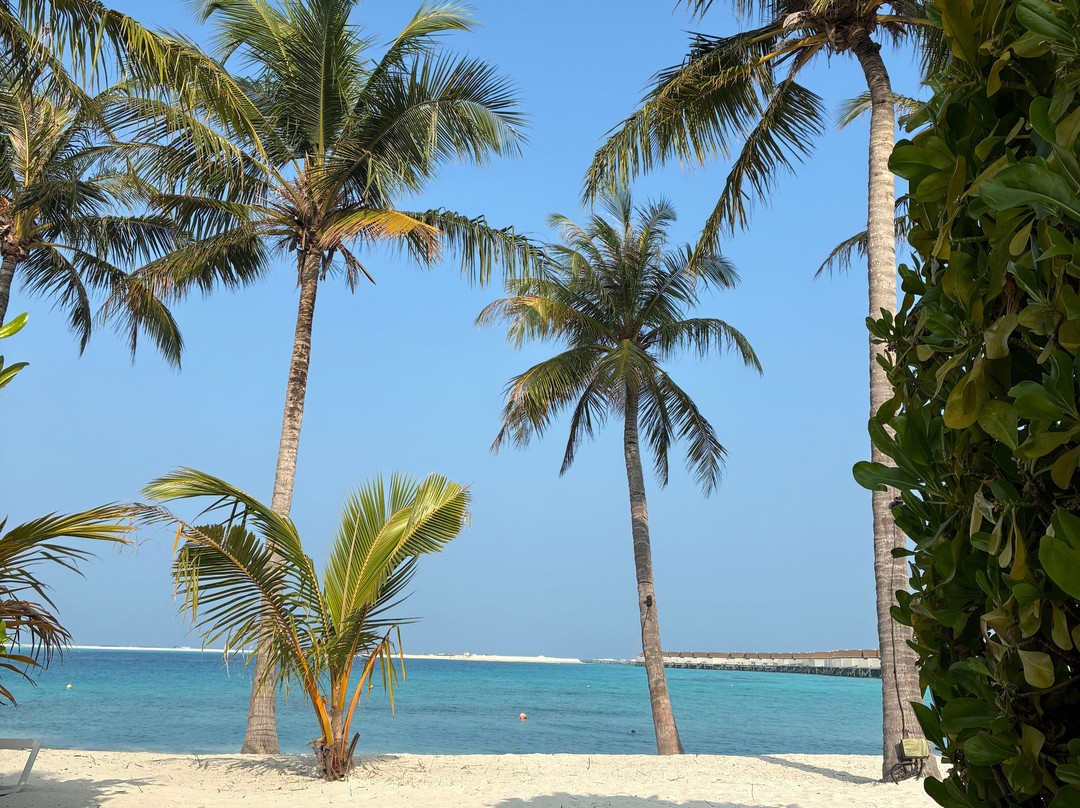 马尔代夫桑塔拉拉斯富士度假酒店主图