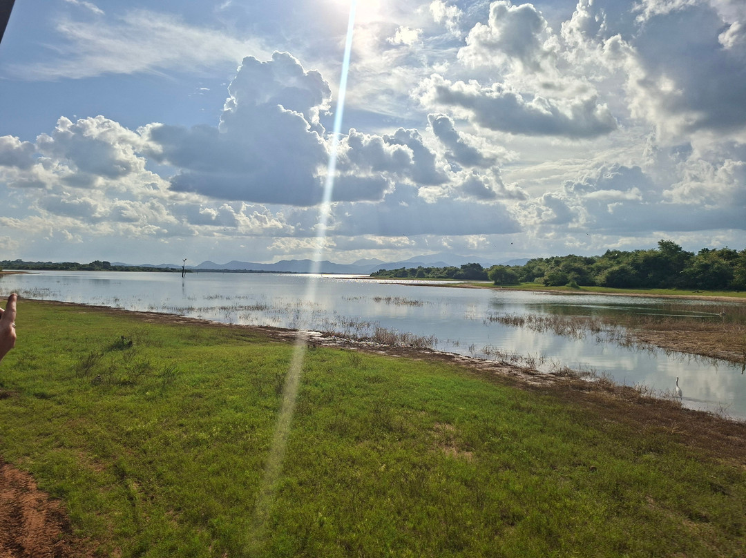 Chauffeur Guide Francophone au Sri Lanka 🇱🇰 (Yohan) Sense Of Lanka Travel-康提必去景点