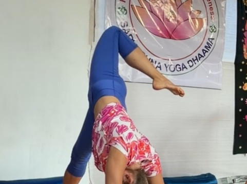 Sarvaguna Yoga-Meditation School-雅高达必去景点