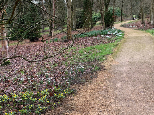 Batsford Arboretum-莫顿因马什必去景点
