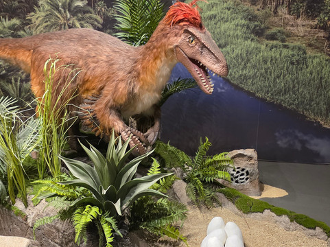 Caracol-恩塞纳达必去景点