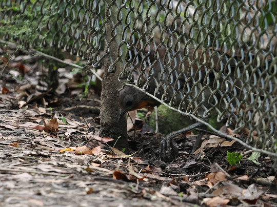 Fitzroy Falls Visitor Centre-Fitzroy Falls必去景点